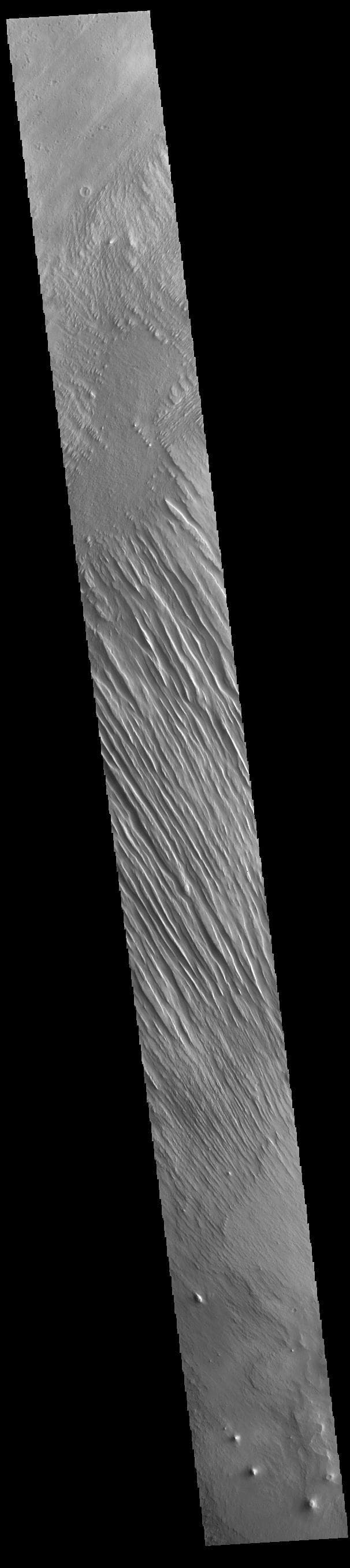 NASA image: Memnonia Sulci