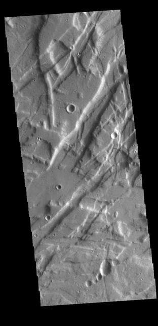 NASA image: Tempe Fossae