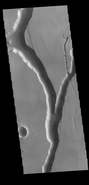 NASA image: Olympica Fossae