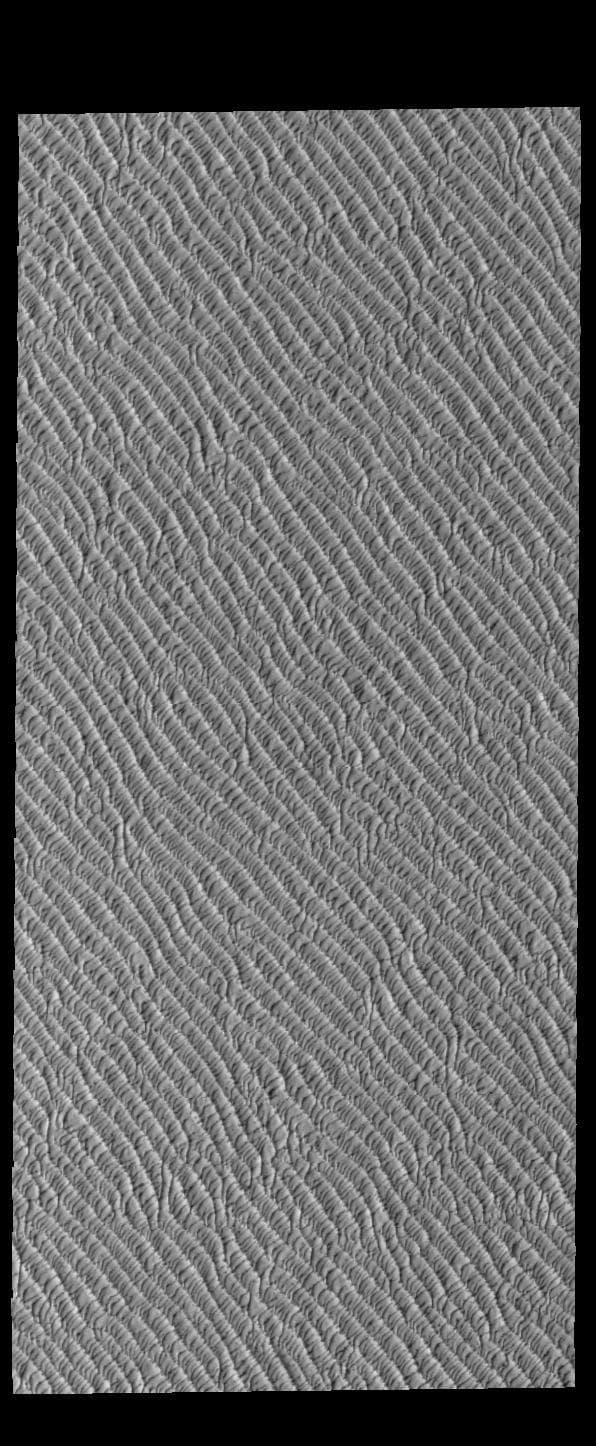 NASA image: Olympia Undae