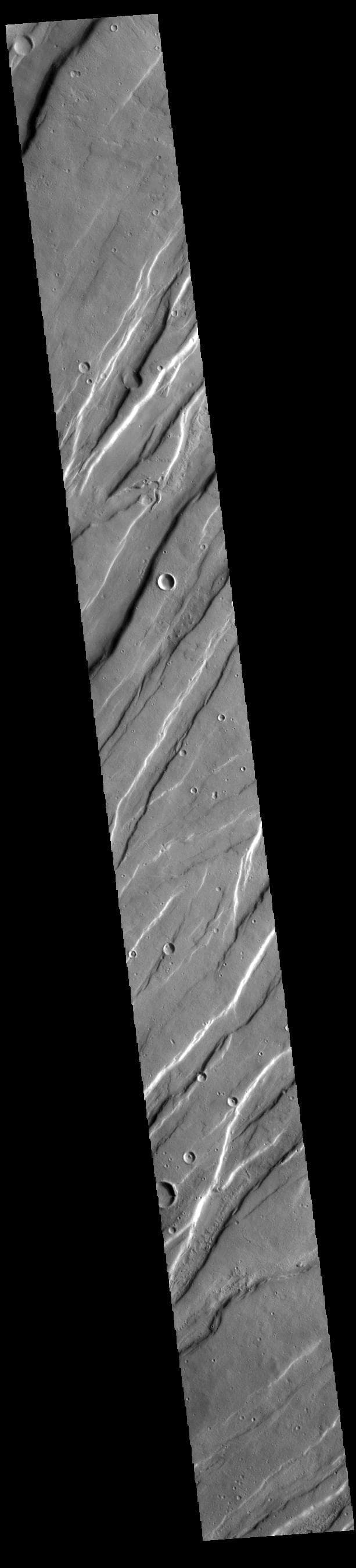 NASA image: Tempe Fossae