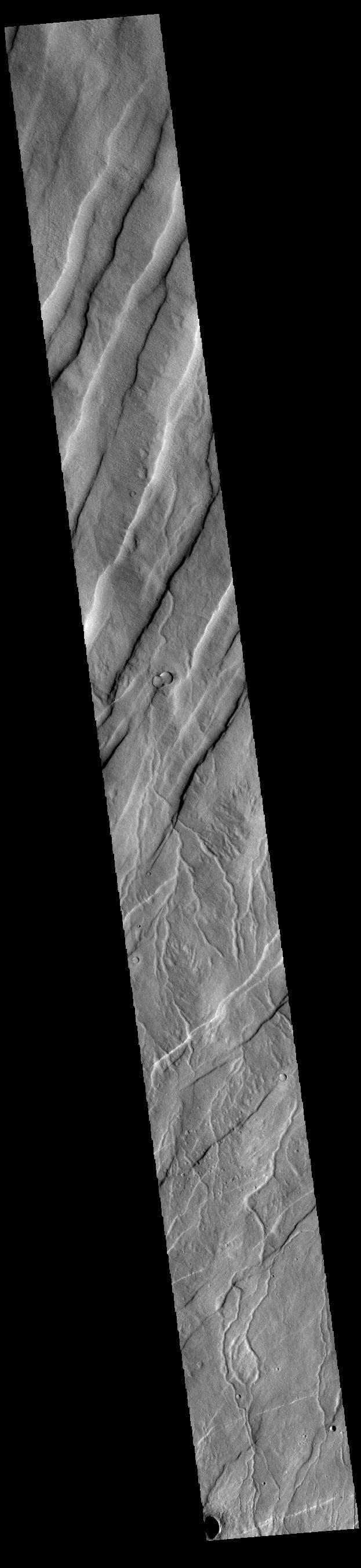 NASA image: Alba Fossae