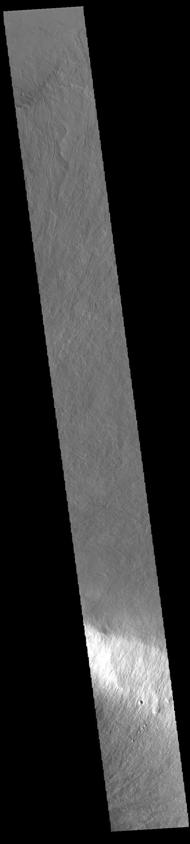 NASA image: Olympus Mons