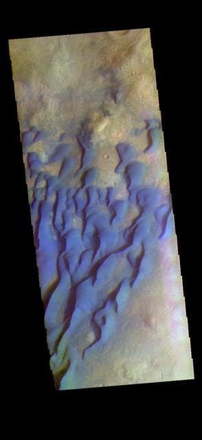 NASA image: Kaiser Crater Dunes - False Color