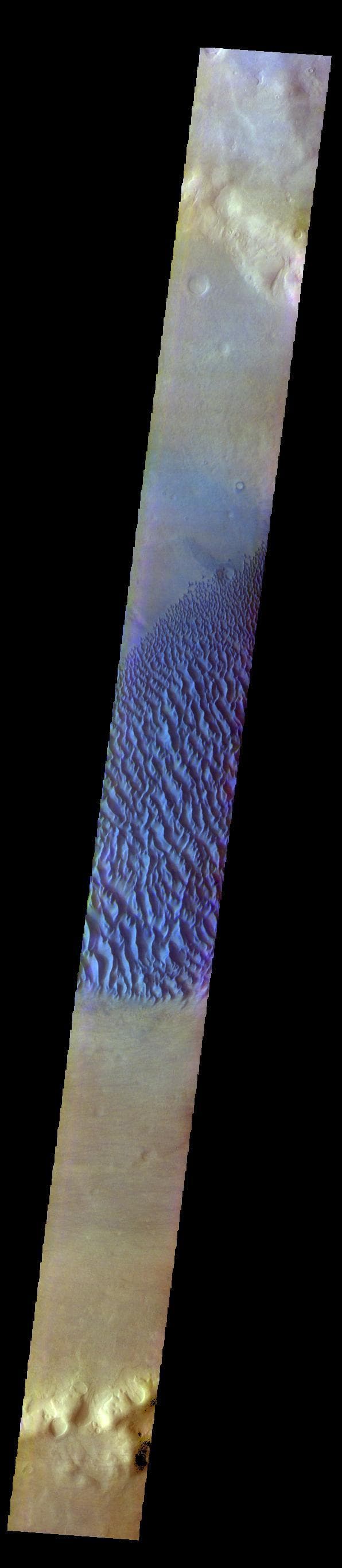 NASA image: Proctor Crater Dunes - False Color
