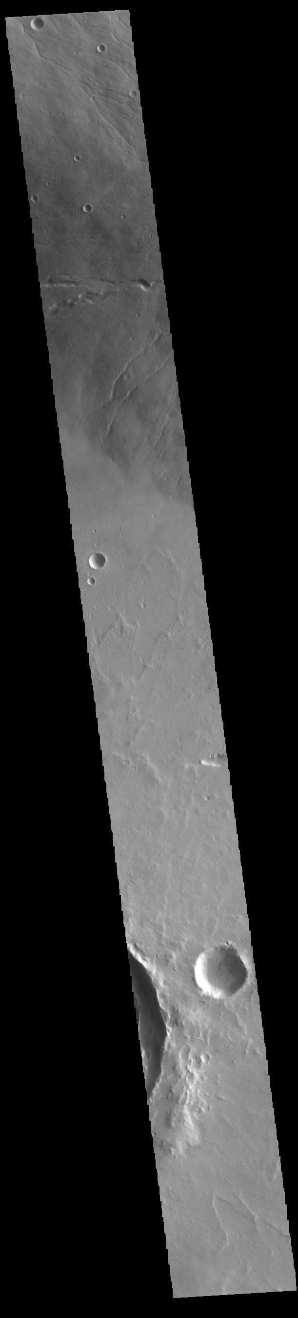 NASA image: Ceraunius Tholus