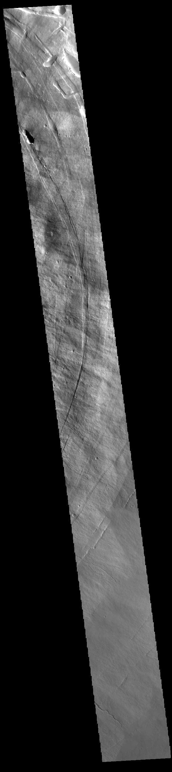 NASA image: Pavonis Mons