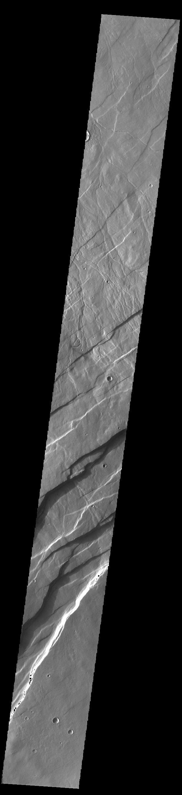 NASA image: Alba Fossae