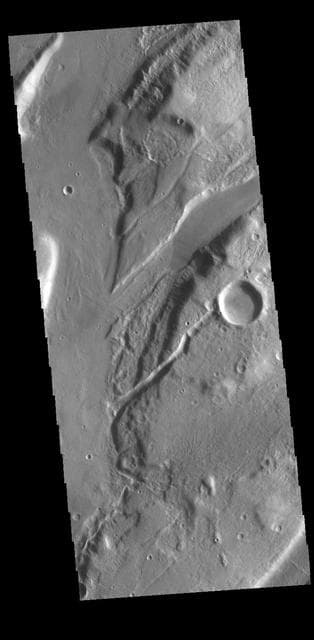 NASA image: Mareotis Fossae