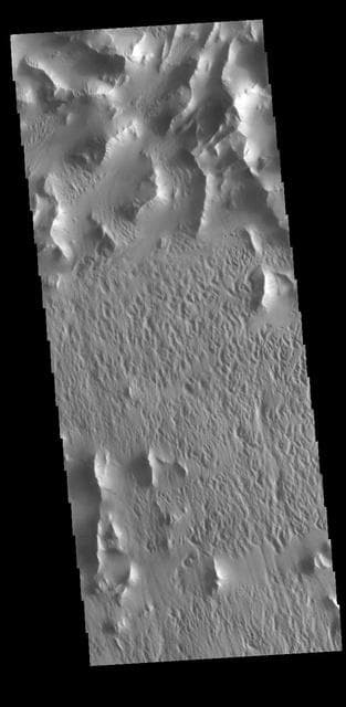 NASA image: Lycus Sulci