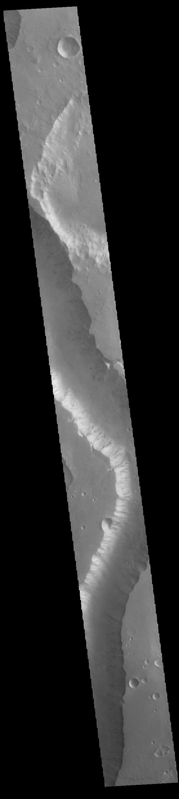 NASA image: Shalbatana Vallis