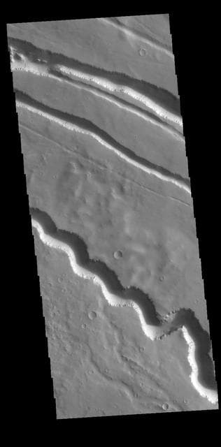 NASA image: Elysium Fossae
