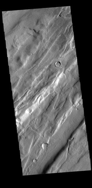 NASA image: Tempe Fossae