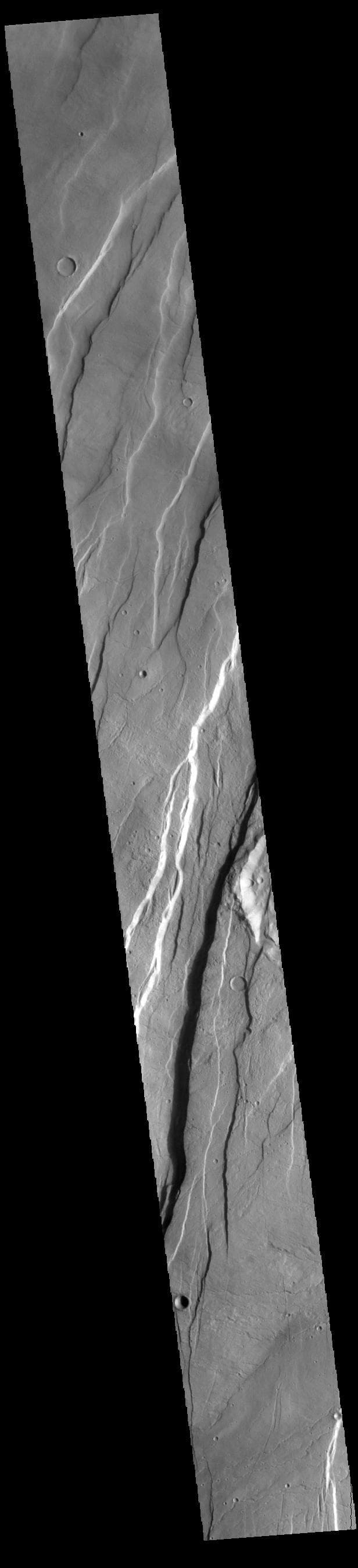NASA image: Tantalus Fossae