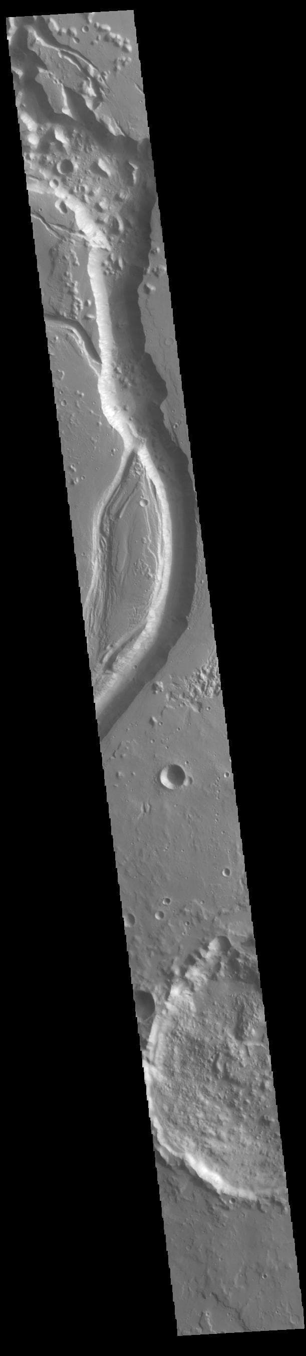 NASA image: Shalbatana Vallis