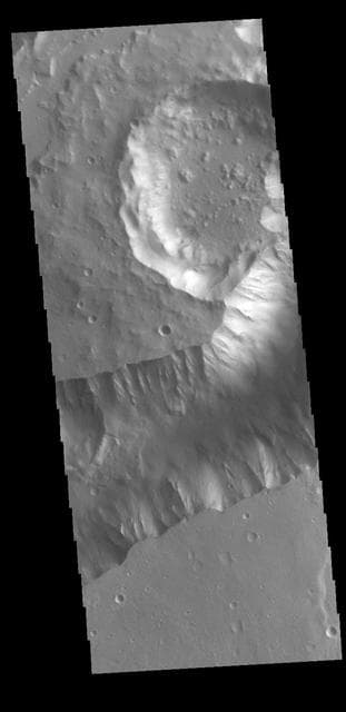 NASA image: Shalbatana Vallis