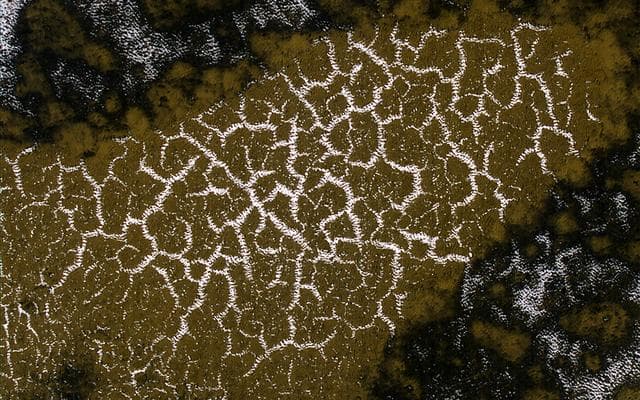 NASA image: Defrosting Dunes