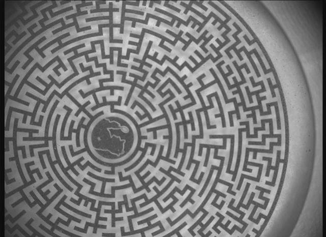 NASA image: SHERLOC's Labyrinth Calibration Target