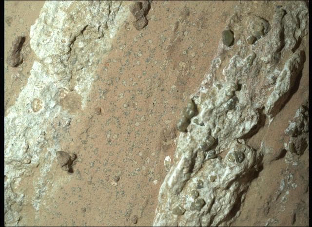 NASA image: Perseverance Finds a Rock With 'Leopard Spots'
