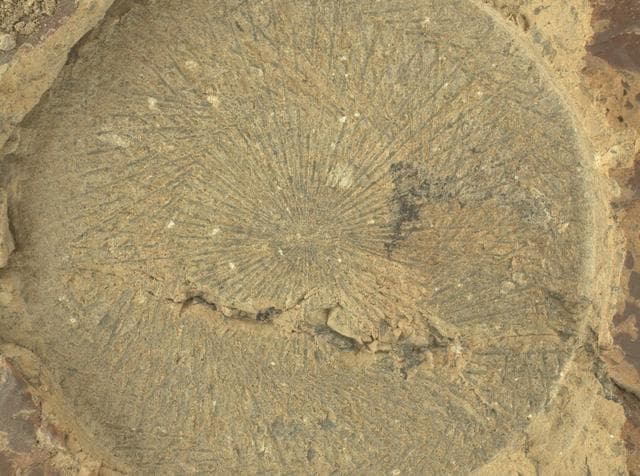NASA image: Zooming in on Perseverance Rover's 'Kenmore' Abrasion Patch