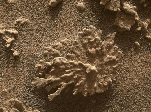 NASA image: Curiosity Views a Martian Rock Shaped Like Coral