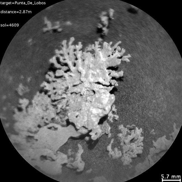 NASA image: Curiosity's ChemCam Views a Rock Shaped Like Coral