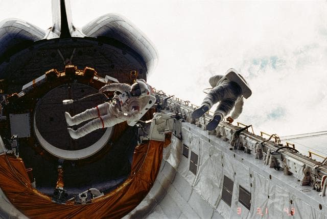 NASA image: MS Peterson and MS Musgrave in payload bay (PLB) during EVA