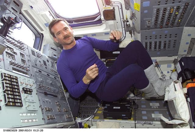 NASA image: MS Hadfield poses on the aft flight deck of Endeavour