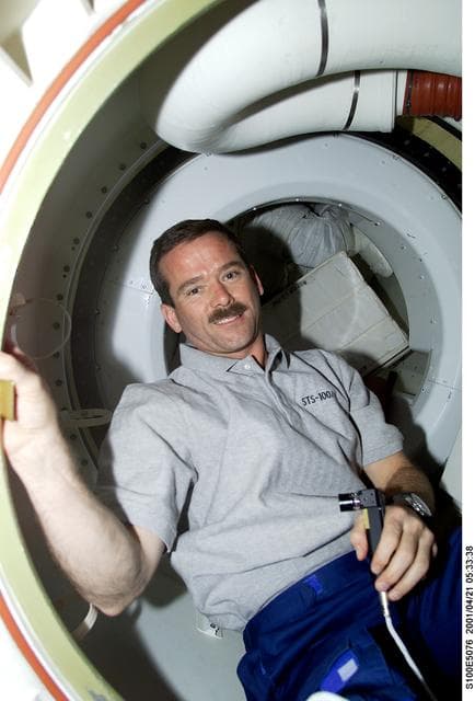 NASA image: MS Hadfield poses in the airlock hatch area on the middeck of Endeavour