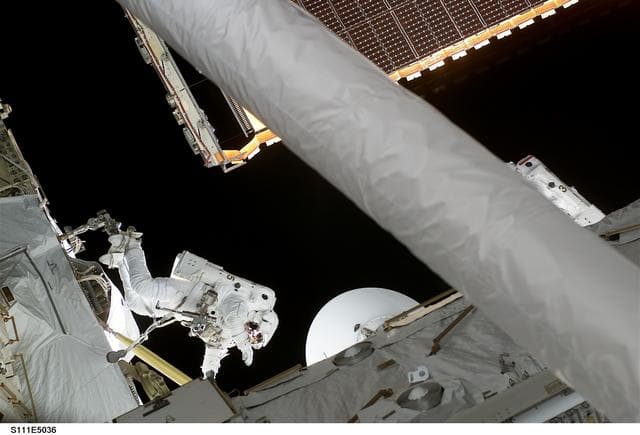 NASA image: Perrin on PFR in Endeavour's PLB during STS-111 UF-2 EVA 1