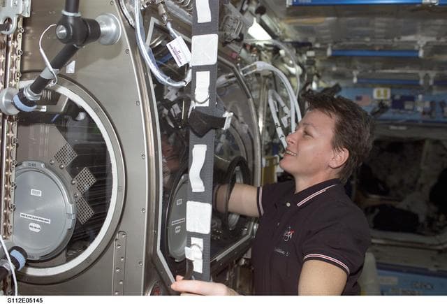 NASA image: Expedition Five Science Officer Whitson in Destiny module with MSG