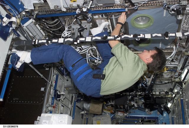 NASA image: Foot restraints for the MSG