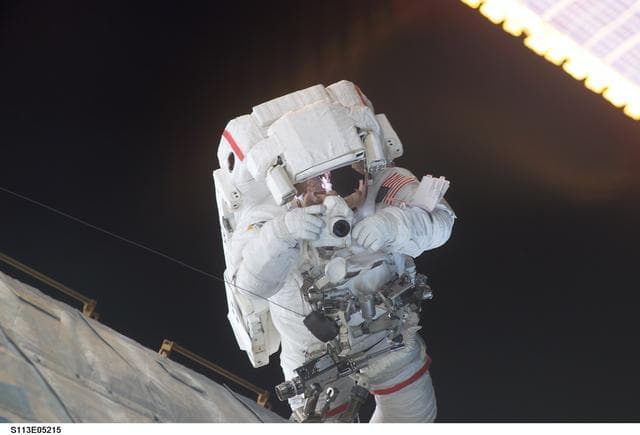 NASA image: MS Lopez-Alegria during the second EVA for STS-113