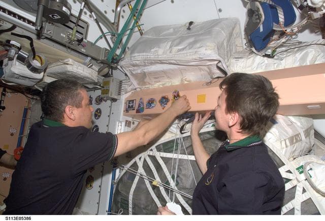 NASA image: Krozun and Whitson place mission stickers on panel in Node 1 during STS-113 / EXP. 5