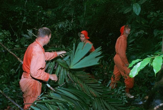 NASA image: ASTRONAUT GROUP - TRAINING - JUNGLE - PANAMA