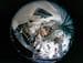 NASA image: Crew Training - Apollo 9 - KSC