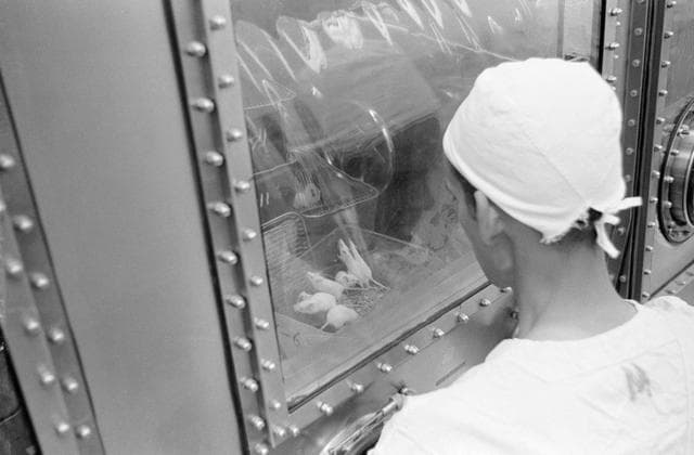 NASA image: BLDG. 37 - MICE