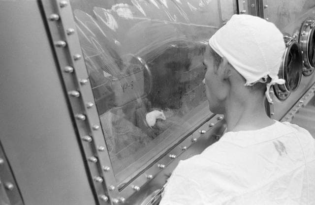 NASA image: BLDG. 37 - MICE