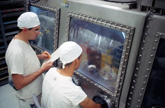 NASA image: LUNAR SAMPLES - APOLLO 11 (MICE)