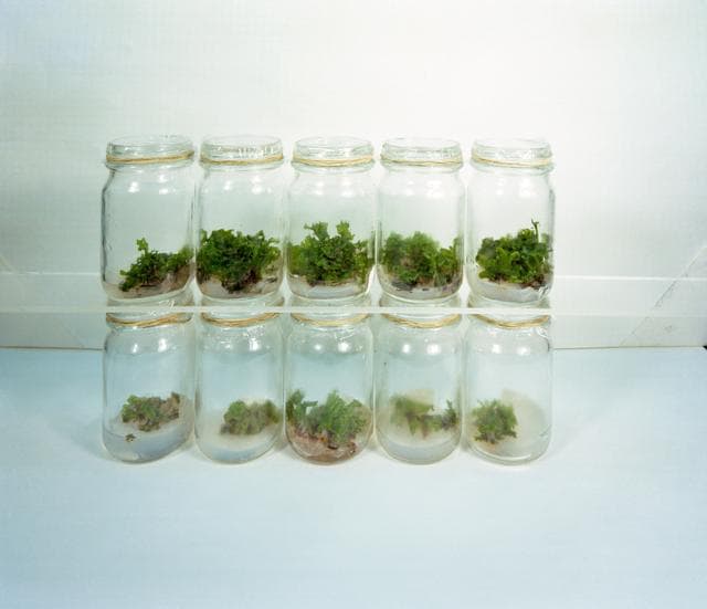 NASA image: Progress photograph of sample experiments being conducted with lunar materia