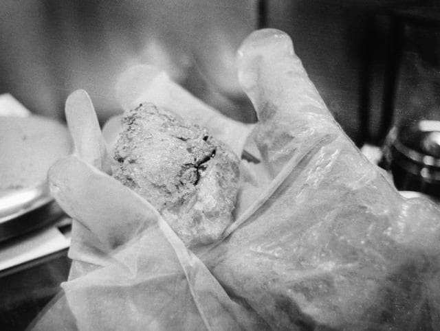 NASA image: Lunar Samples - Apollo 12