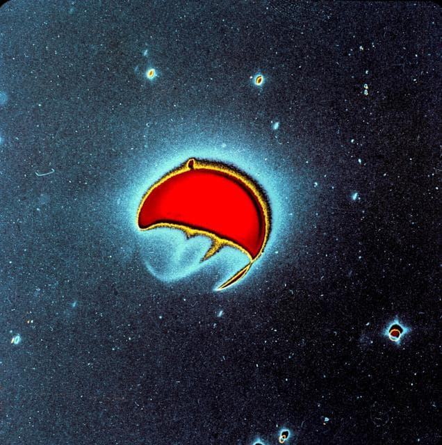 NASA image: SOLAR - ASTRONOMY (APOLLO-SATURN [AS]-16)