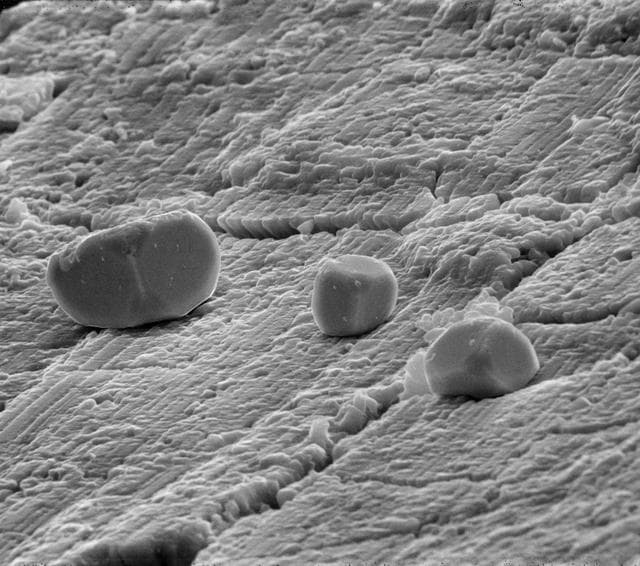 NASA image: PHOTOMICROPHOTOGRAPHY- GEOLOGY ( SEM)