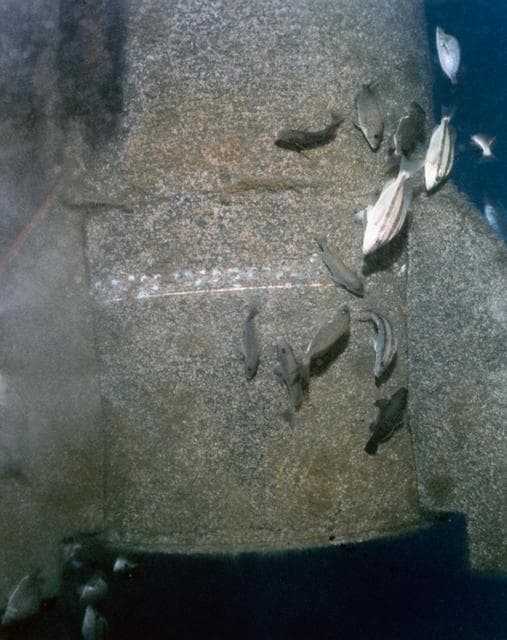 NASA image: TESTS - STS-33/51L (DEBRIS)