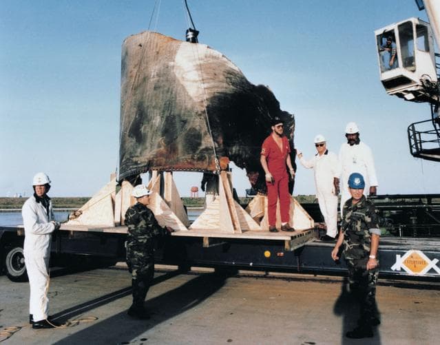 NASA image: Tests - STS-33/51L (Debris)