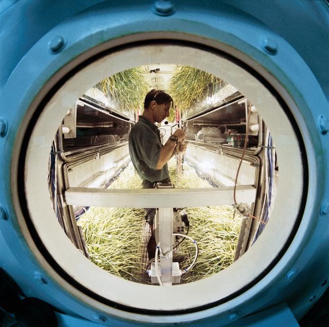 NASA image: Early Human Testing Initiative Phase 1 Regenerative Life Support Systems