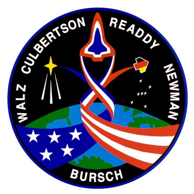 NASA image: STS-51 insignia