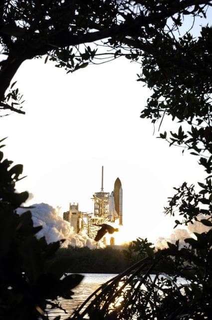 NASA image: STS117-S-022