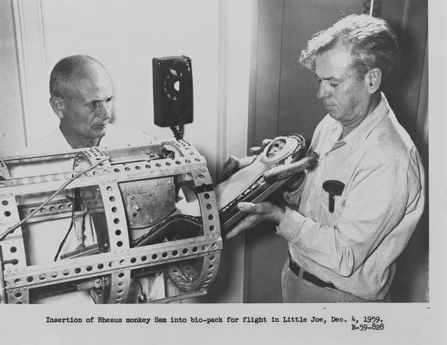 NASA image: Rhesus Monkey - Miss Sam - Fiberglass Couch - Little Joe (LJ)-1B Flight - Prep