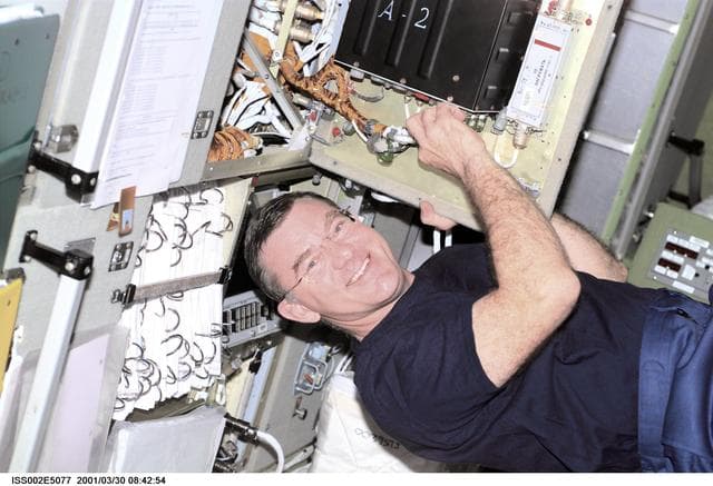NASA image: Voss in Service Module